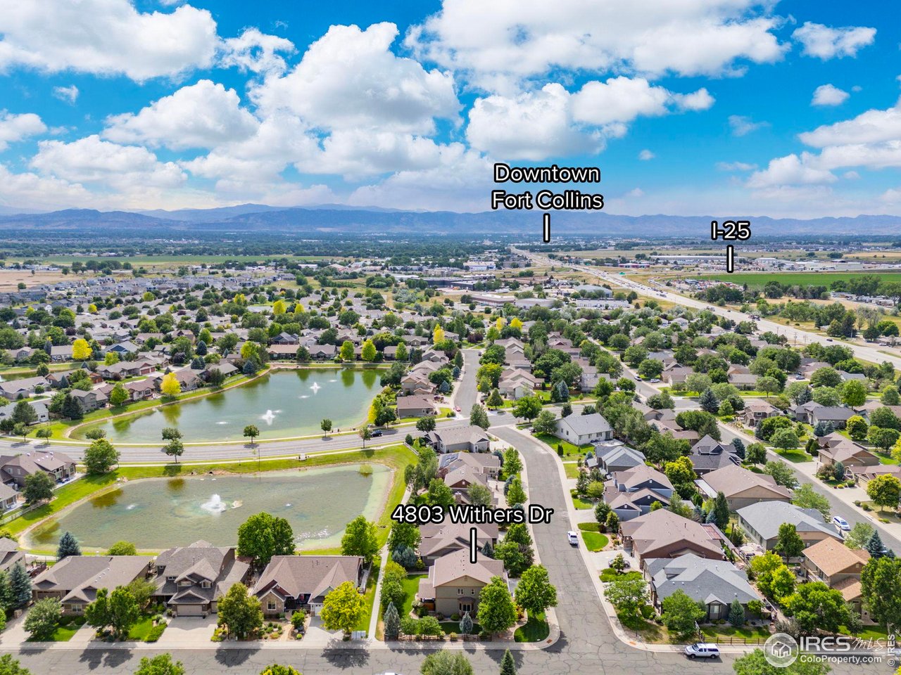 4803 Withers Dr