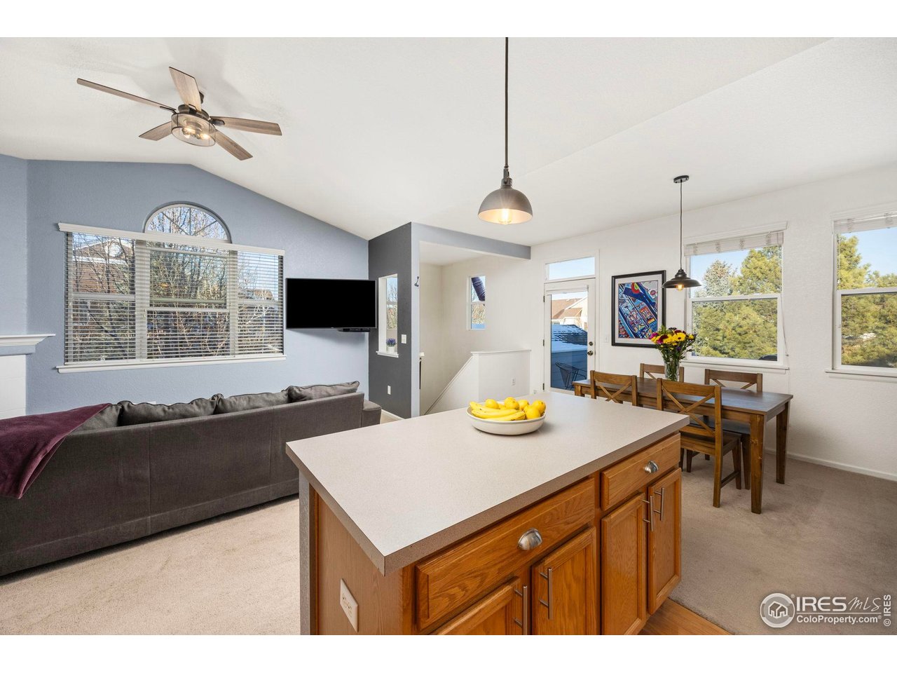 2067 Grays Peak Dr 203