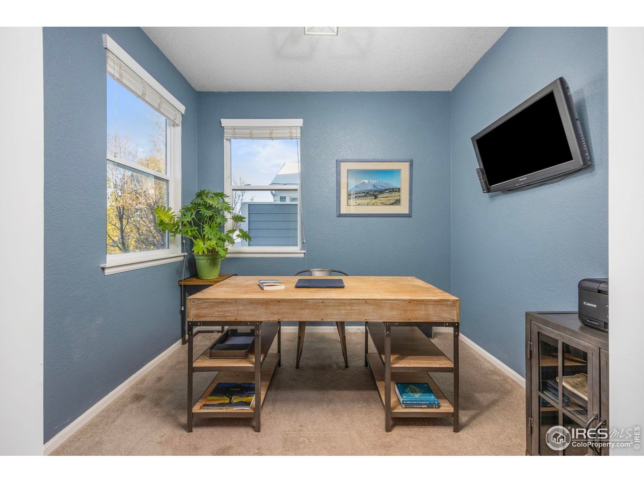 2067 Grays Peak Dr 203