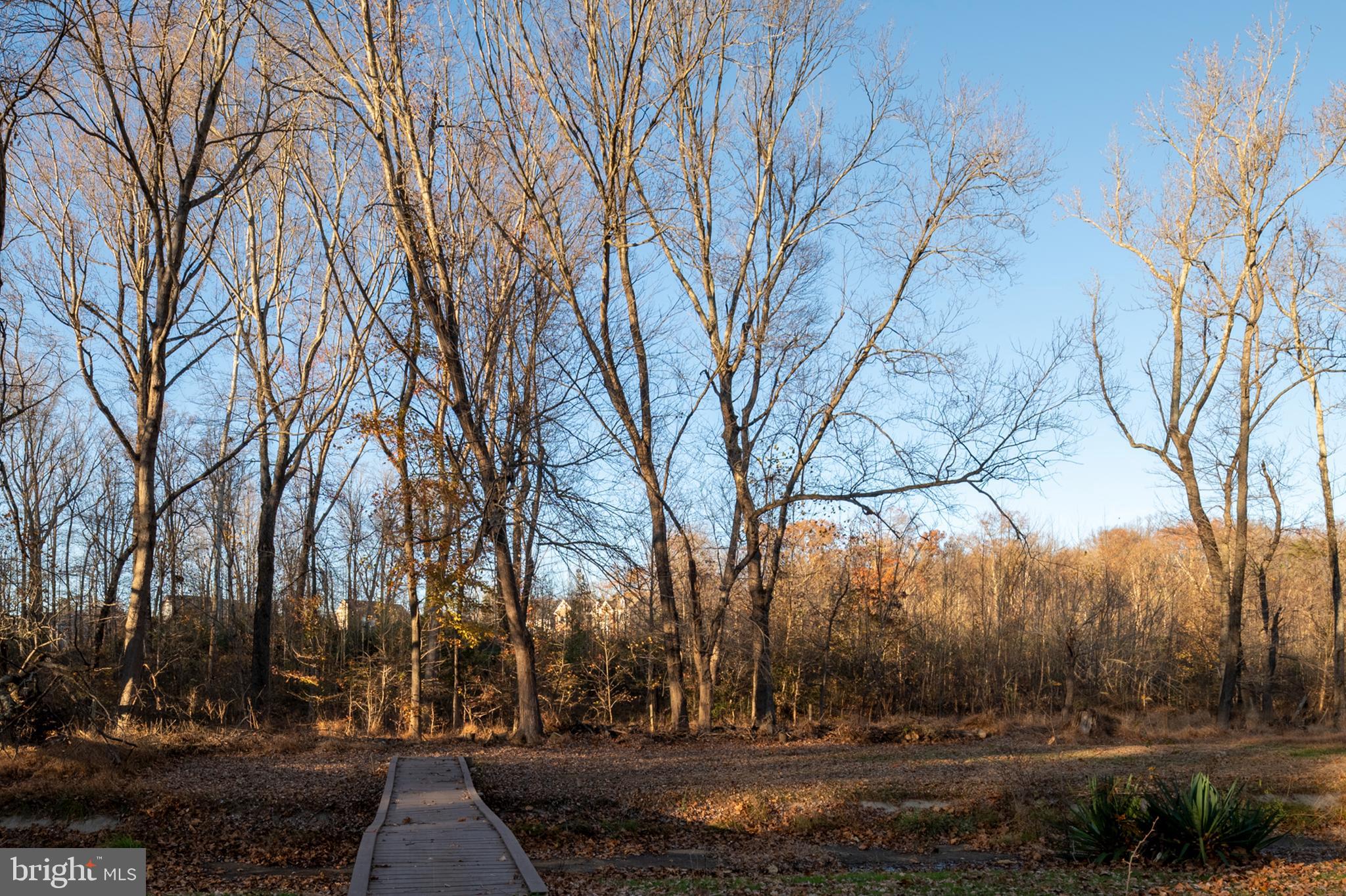 10904 BROOKWOOD AVENUE