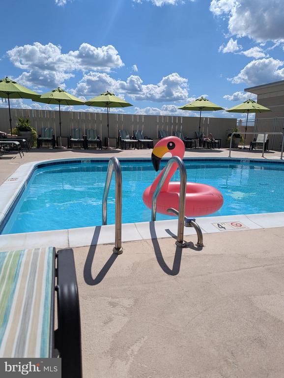 11800 SUNSET HILLS ROAD Unit: 815