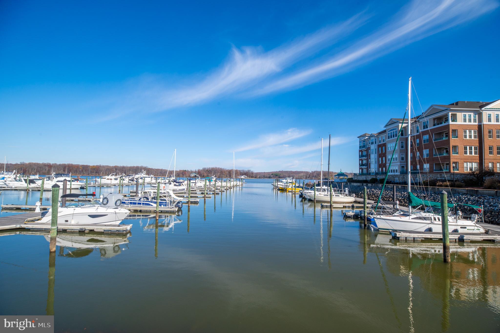 500 Belmont Bay Drive Unit: 311