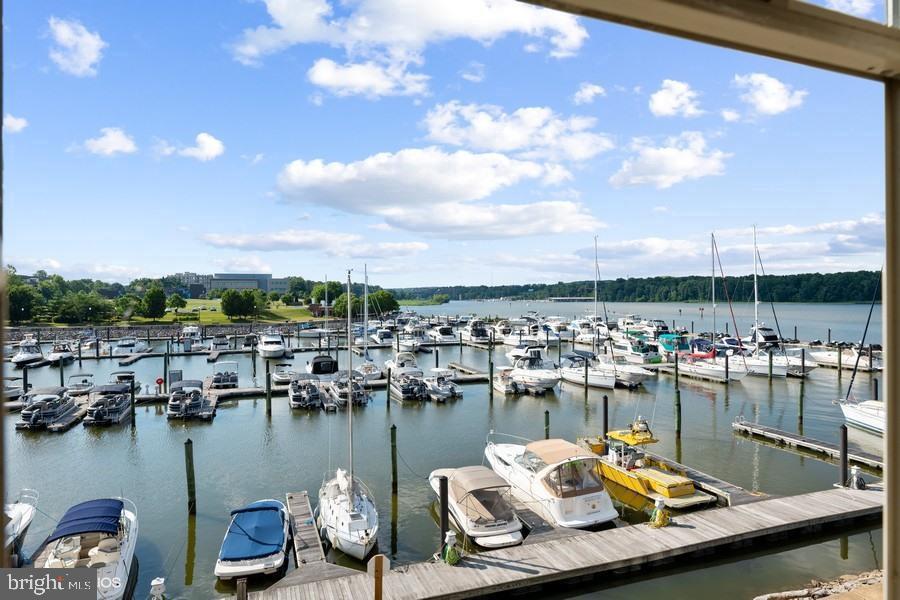 500 Belmont Bay Drive Unit: 311