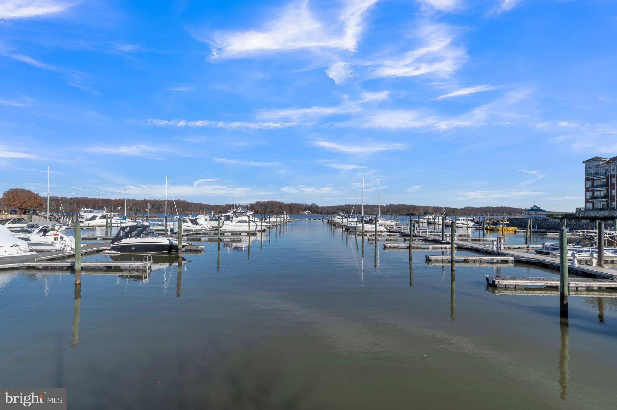 500 Belmont Bay Drive Unit: 311