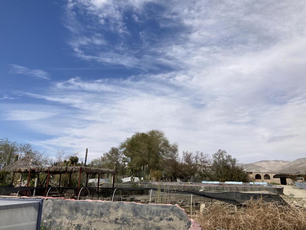 19190 Prospect Street