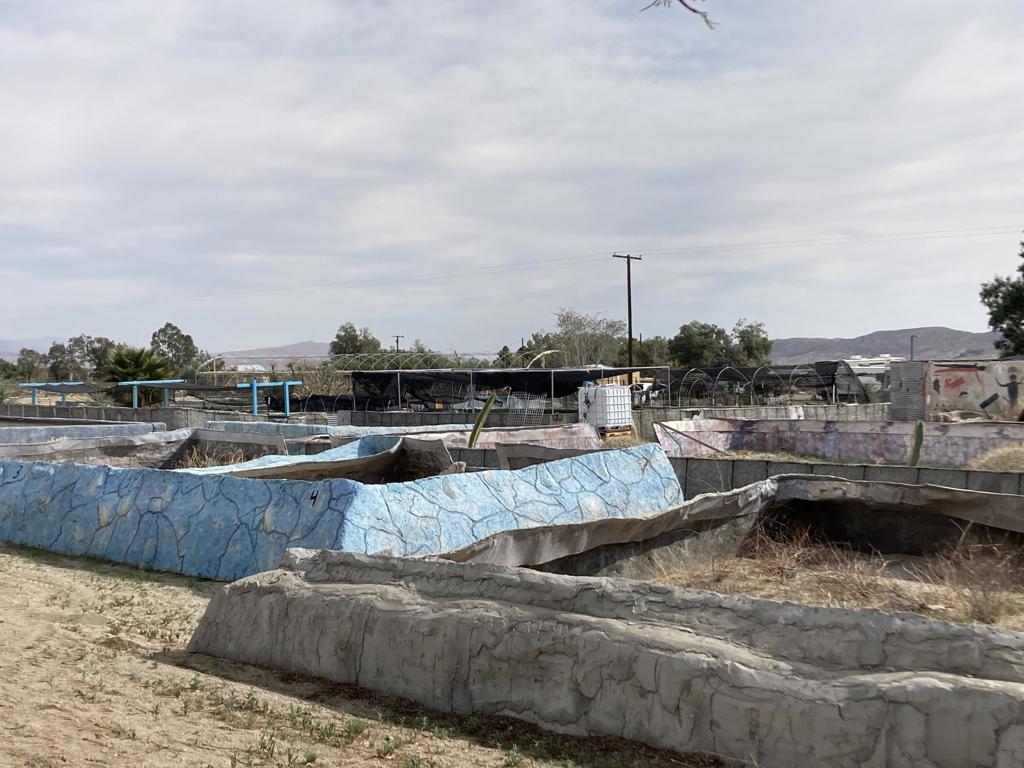 19190 Prospect Street