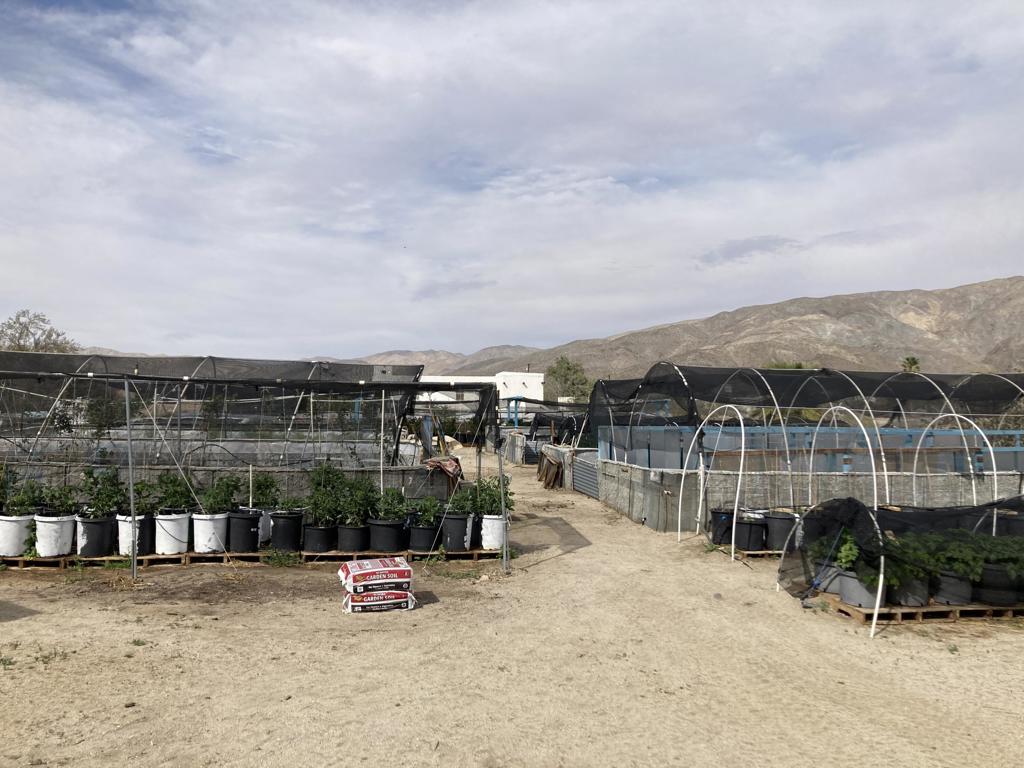 19190 Prospect Street