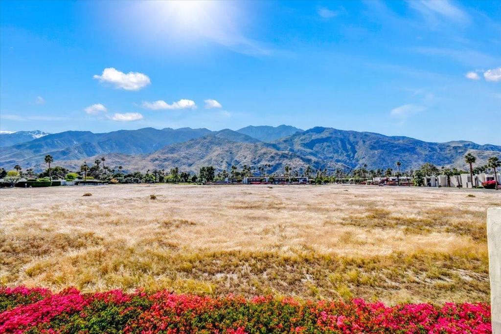 1655 E Palm Canyon Drive Unit: 320