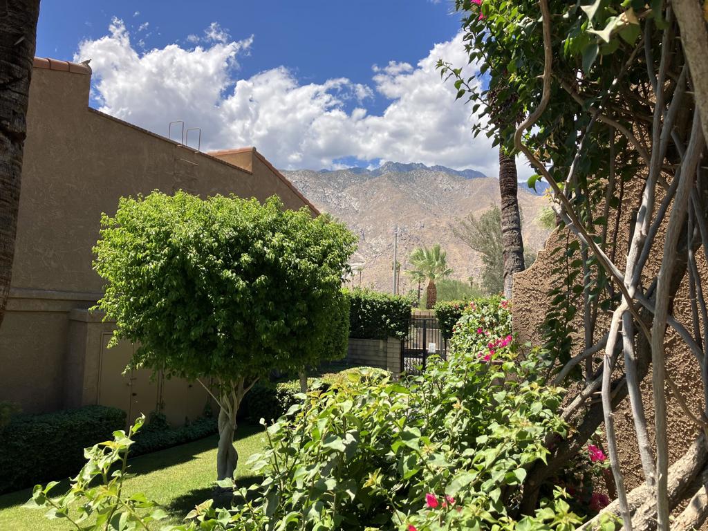 291 E Mel Avenue 241