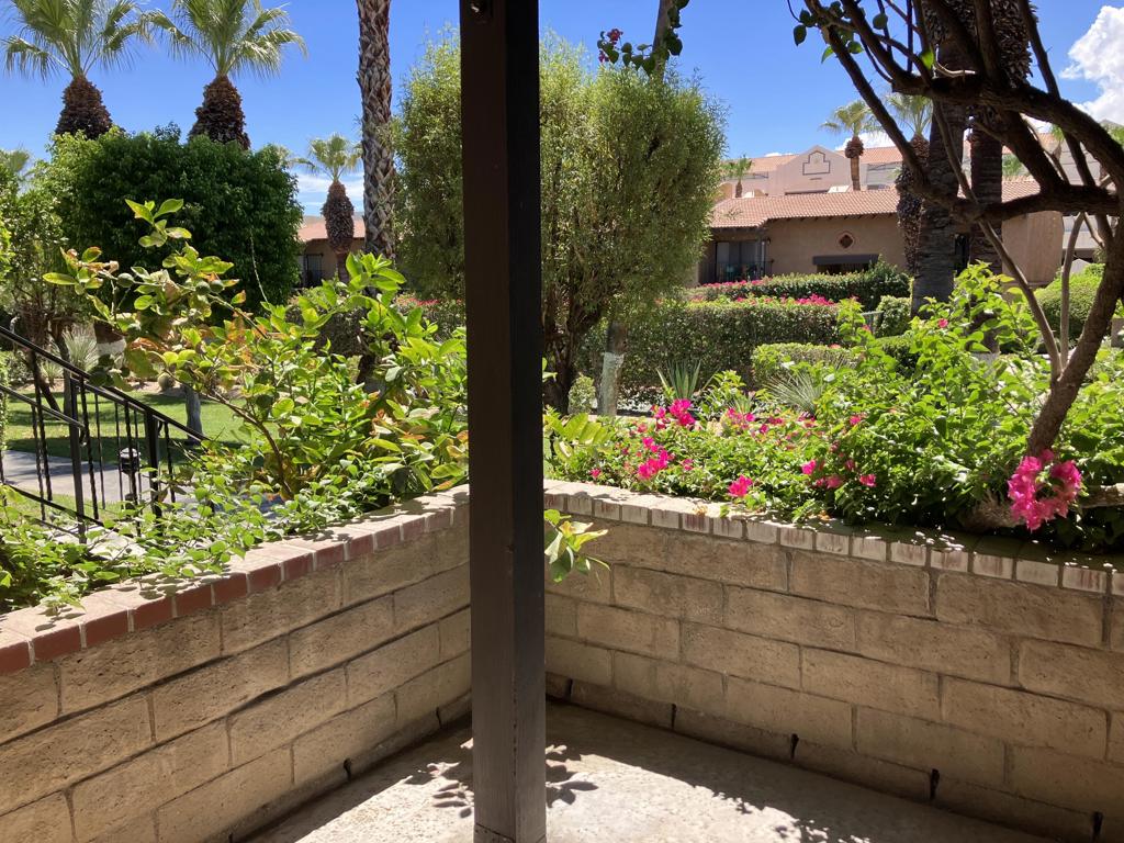 291 E Mel Avenue 241