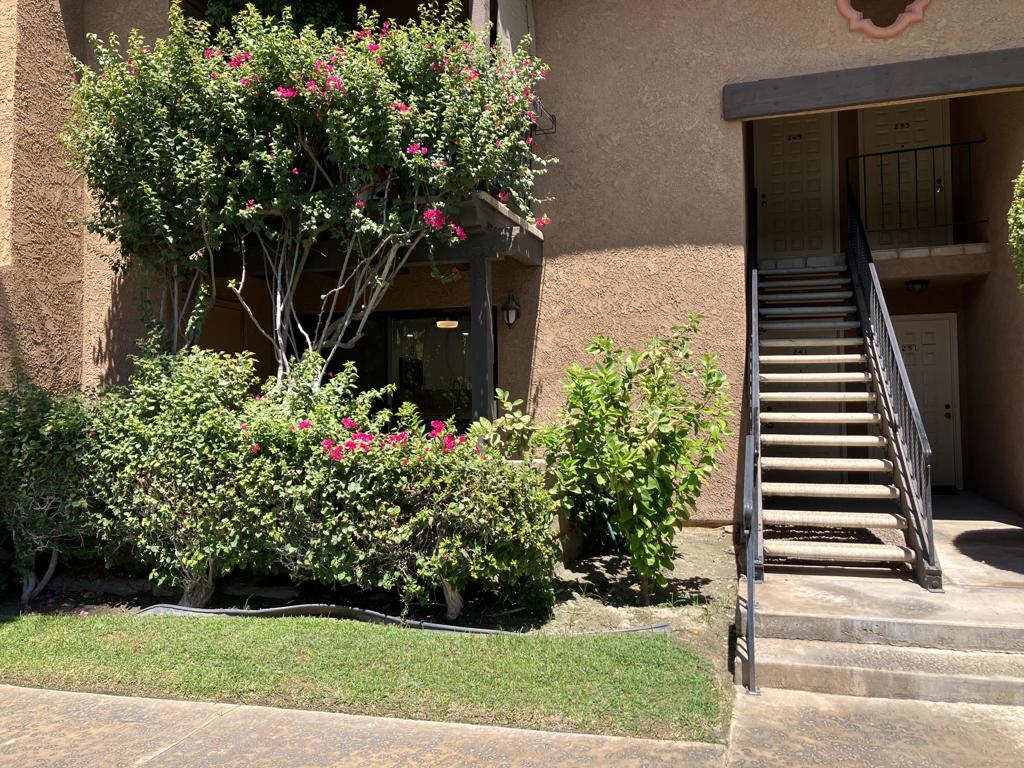 291 E Mel Avenue 241