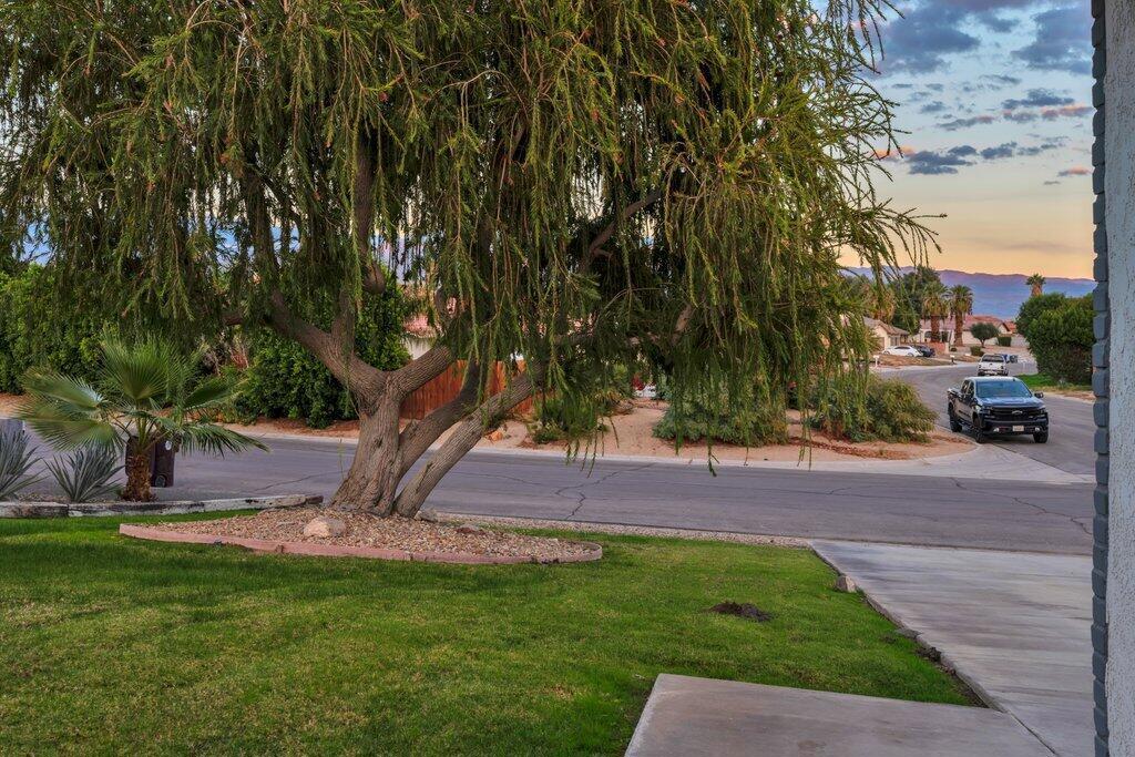 41423 Pedro Buff Drive