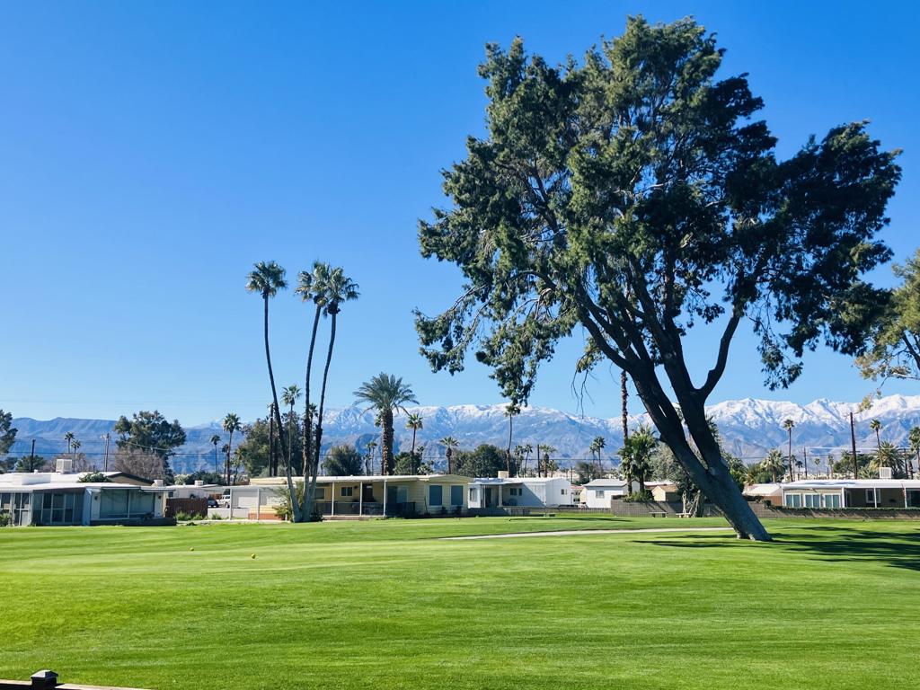 73440 Algonquin Place