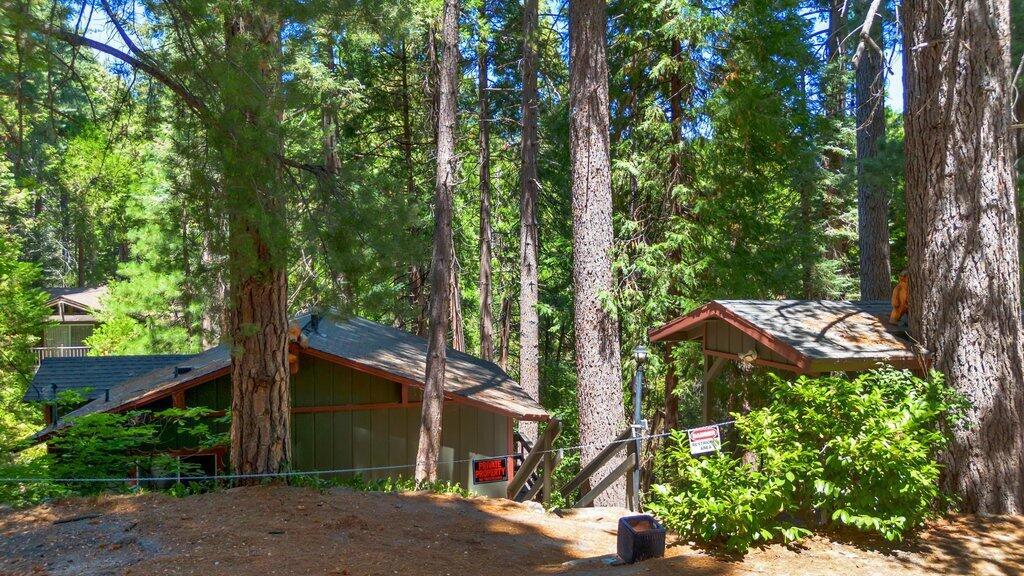 26170 Lake Forest Drive