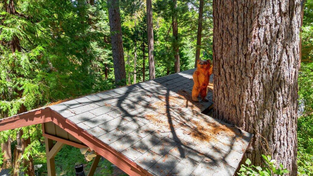 26170 Lake Forest Drive