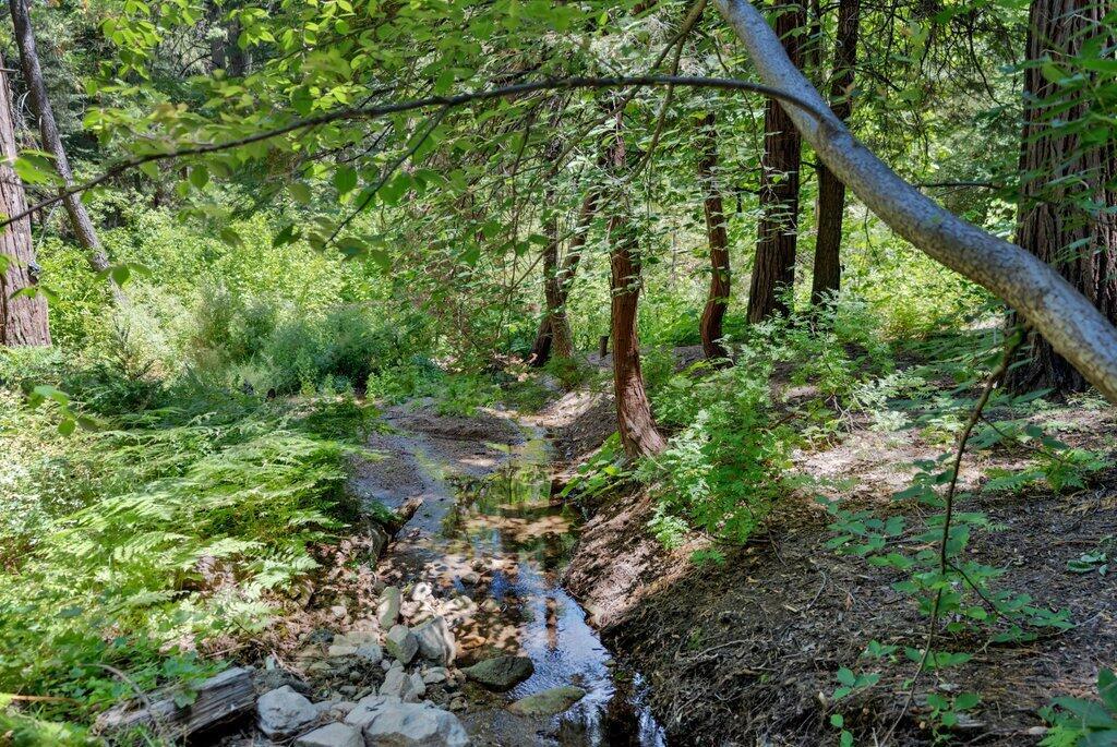 26170 Lake Forest Drive