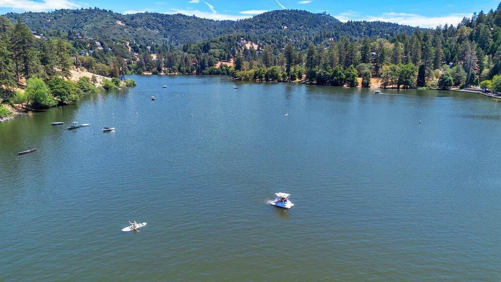 26170 Lake Forest Drive