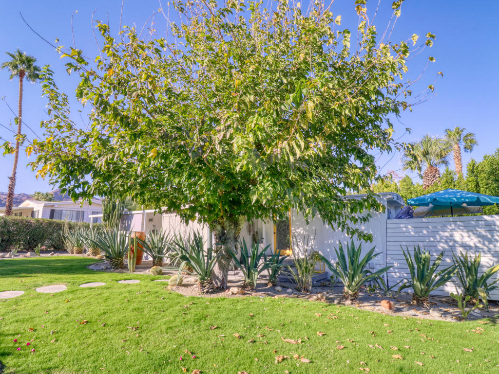 7 Ocotillo Lane