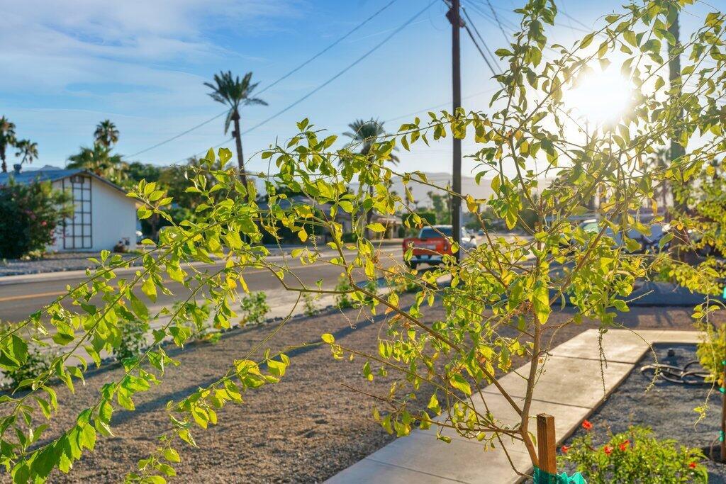 77330 California Drive