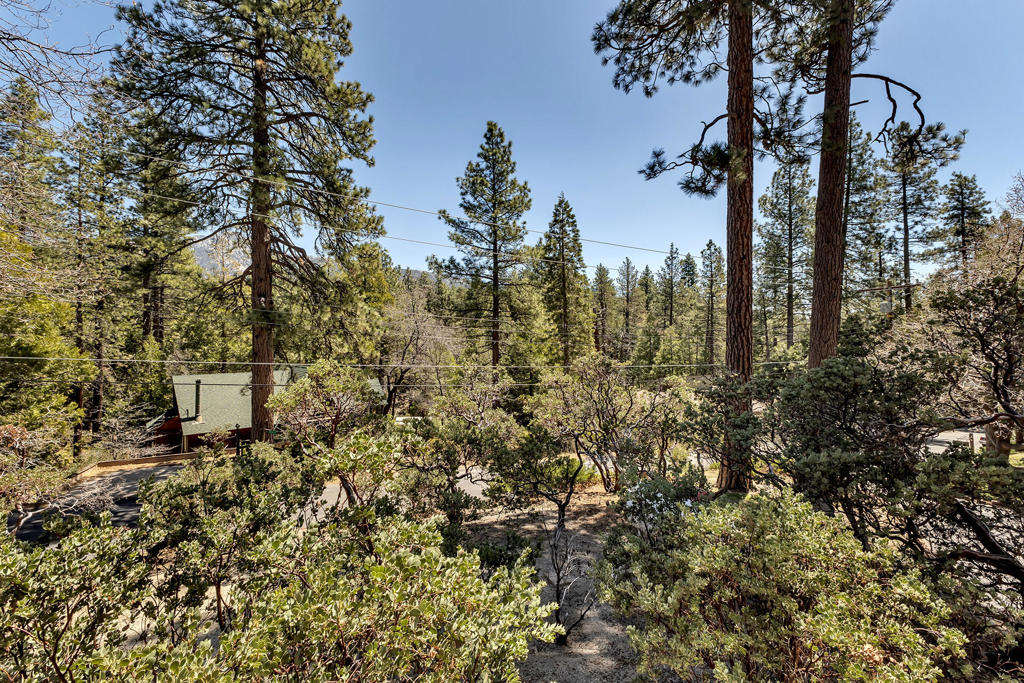 25607 Cedar Glen Drive