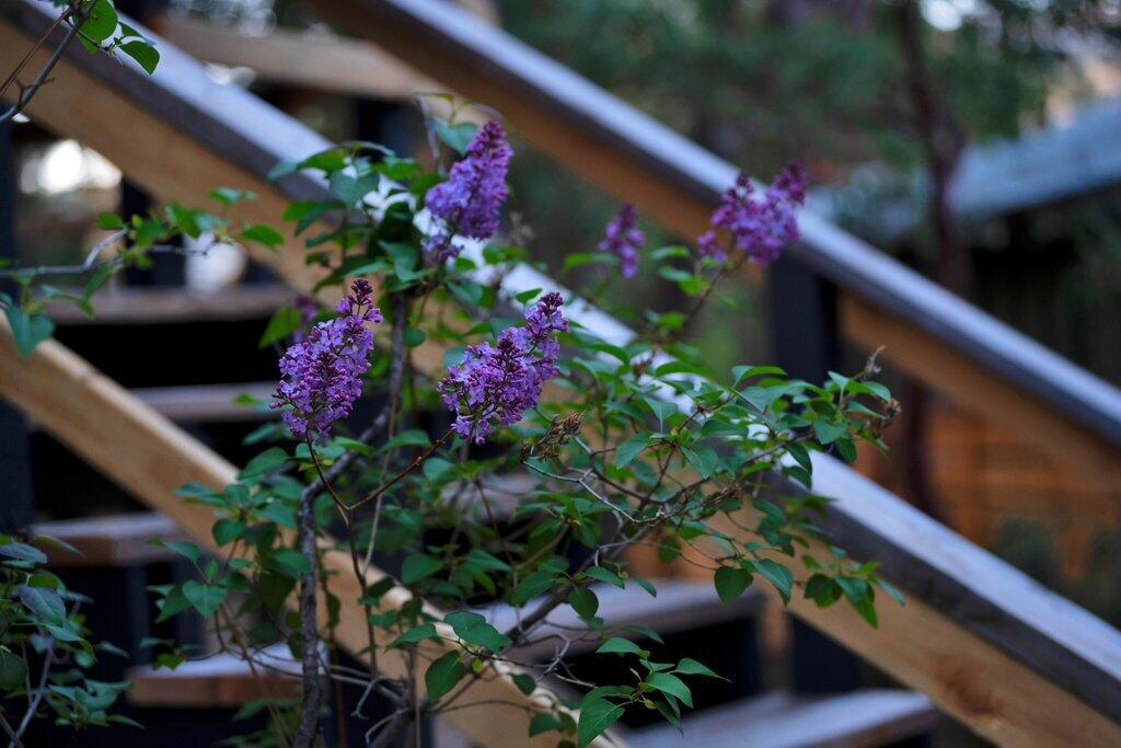 26785 Crestview Drive