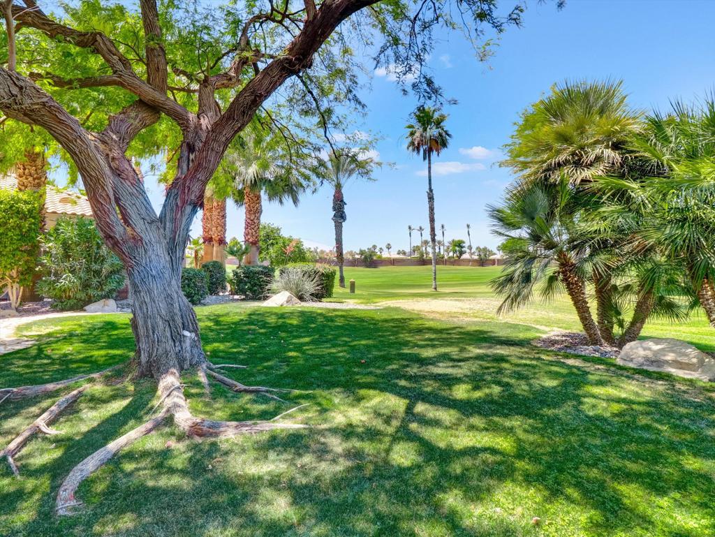 80418 Dumphries Court