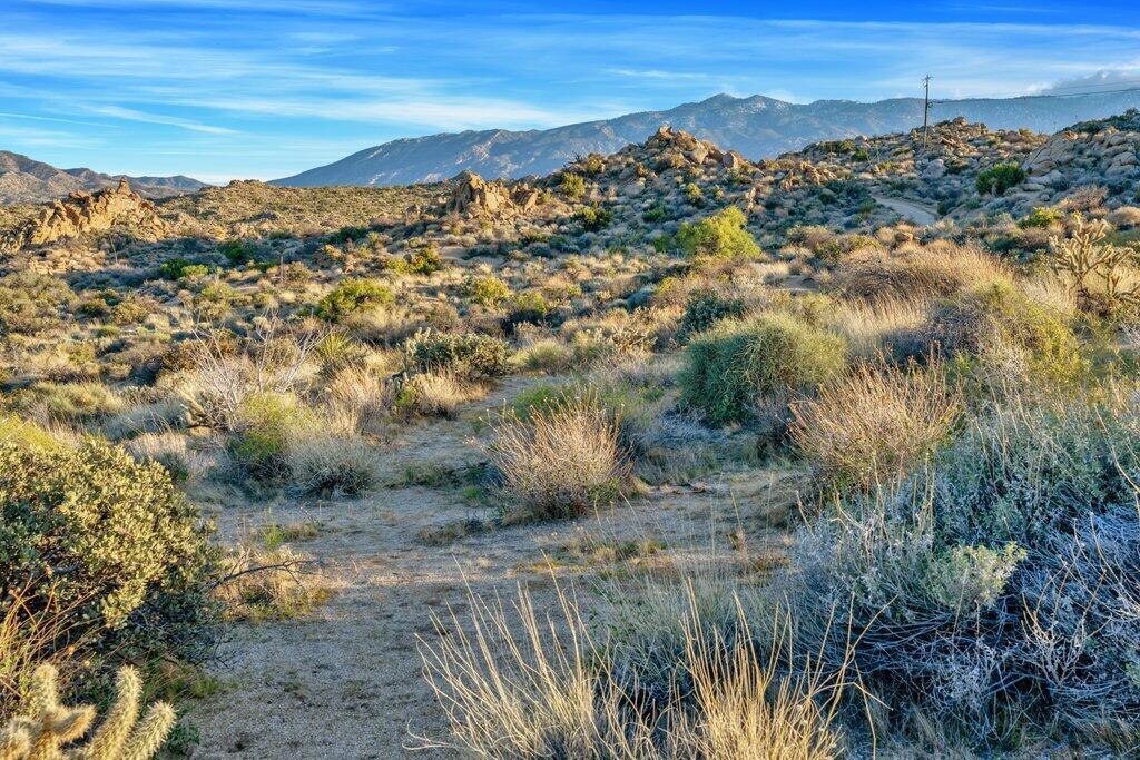 57795 Big Horn Drive