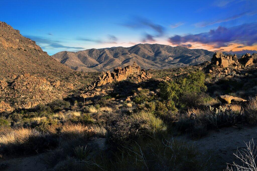 57795 Big Horn Drive