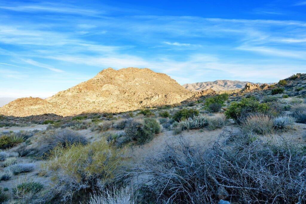 57795 Big Horn Drive