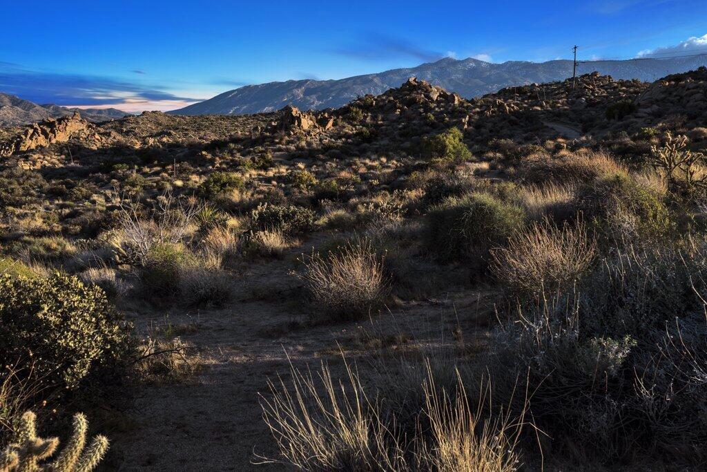 57795 Big Horn Drive