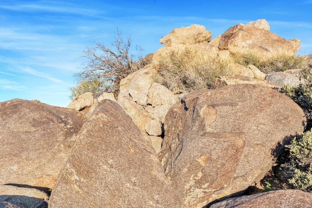 57795 Big Horn Drive