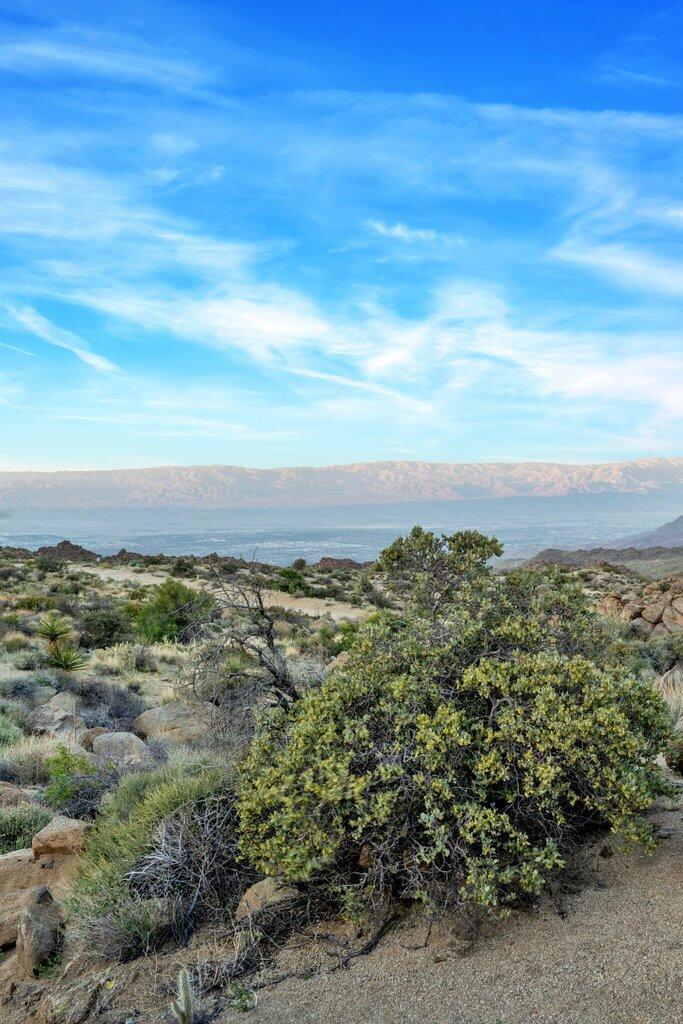 57795 Big Horn Drive