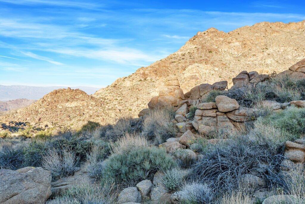 57795 Big Horn Drive