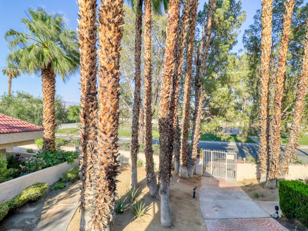32505 Candlewood Drive 18