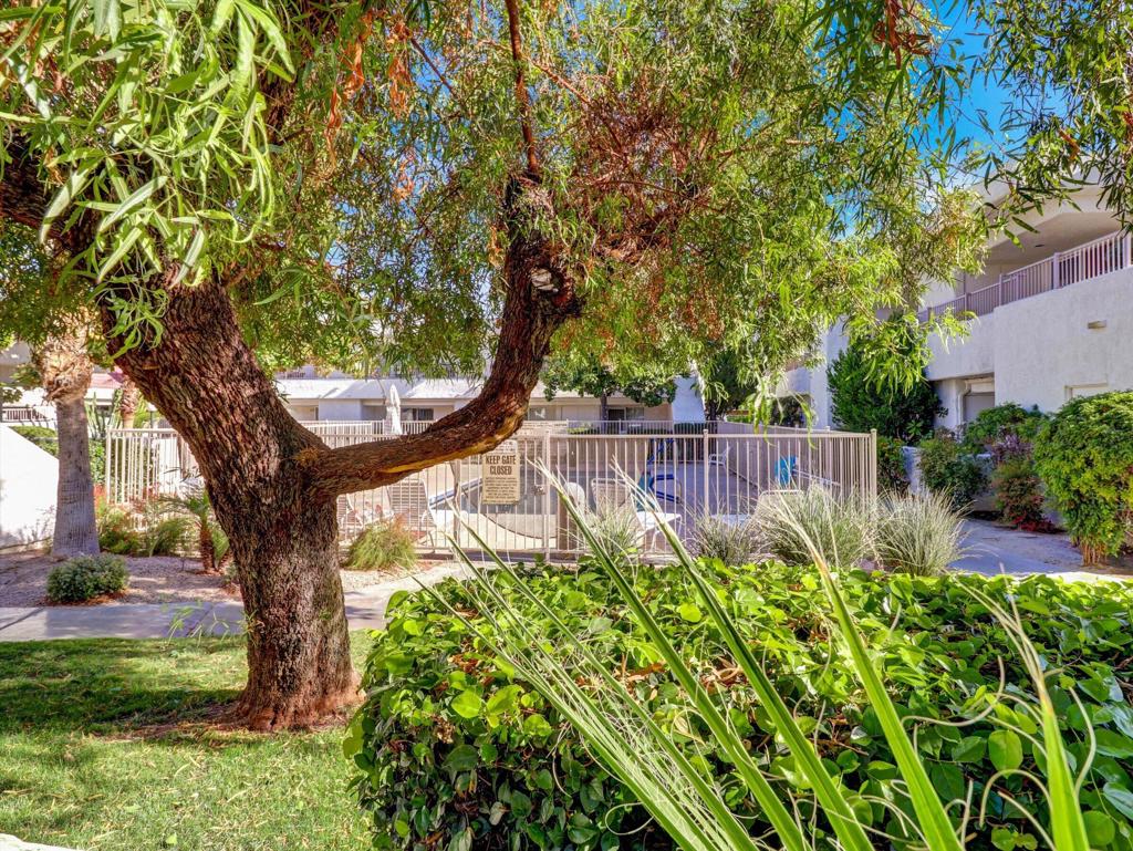 32505 Candlewood Drive 85
