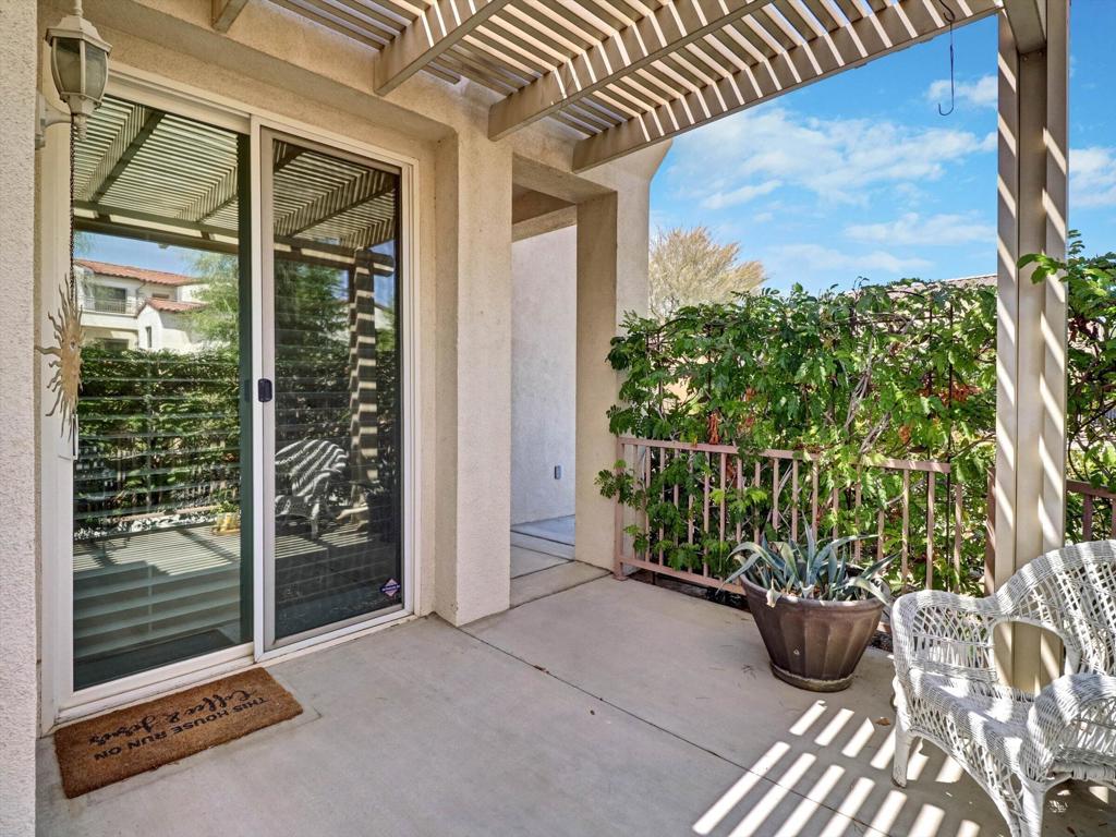 79355 Rose Dawn