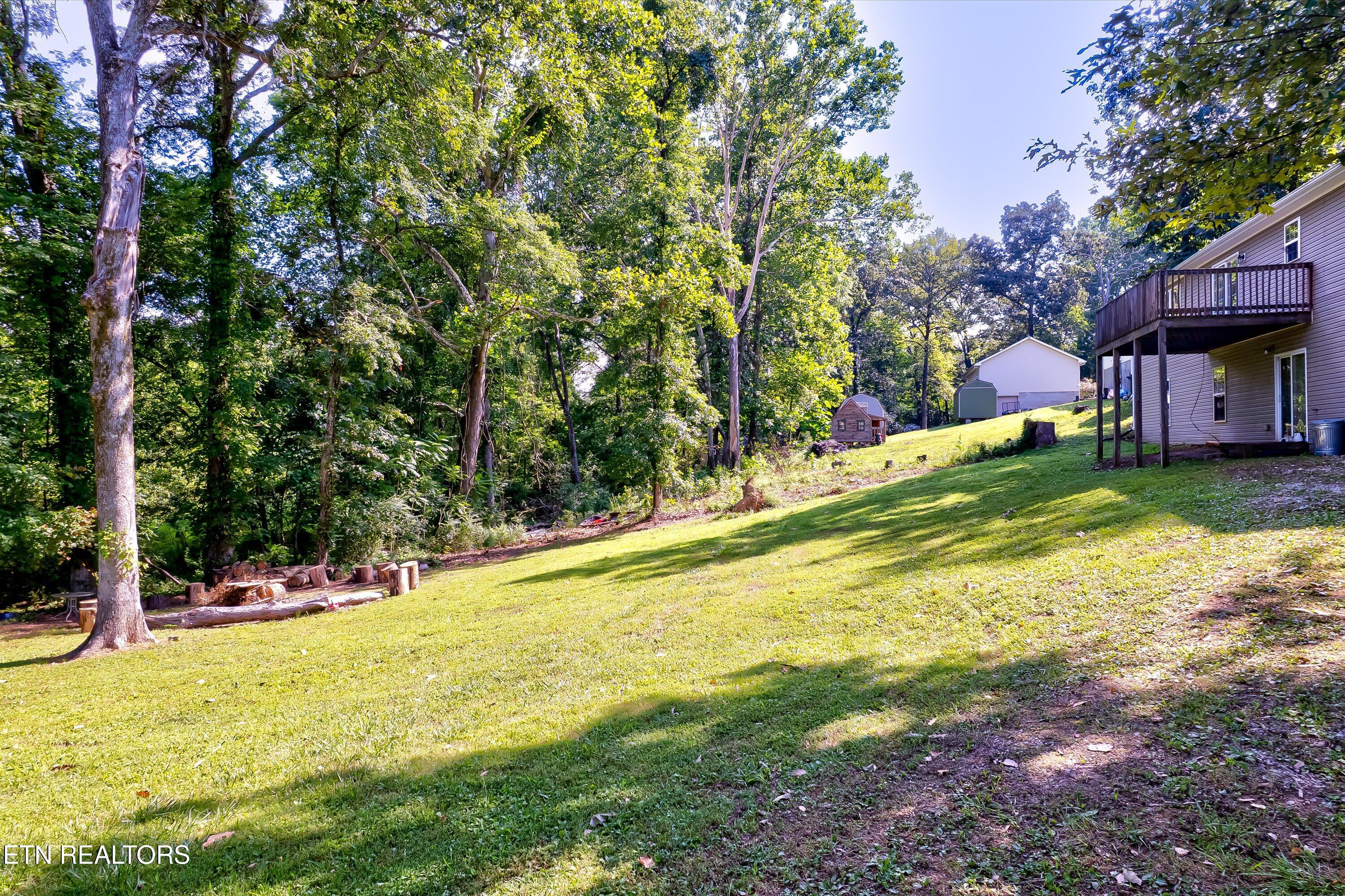 101 Shady Lane