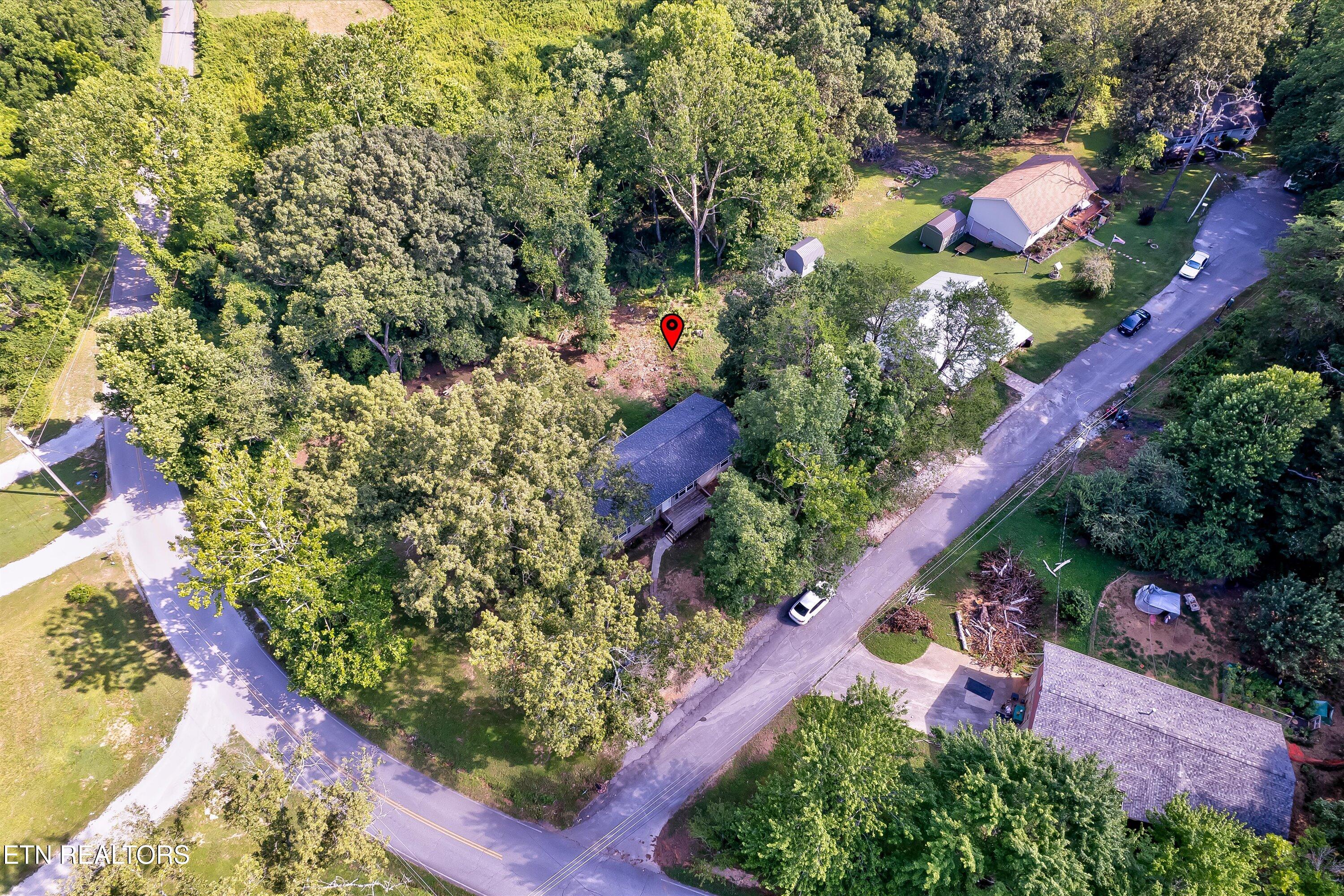 101 Shady Lane