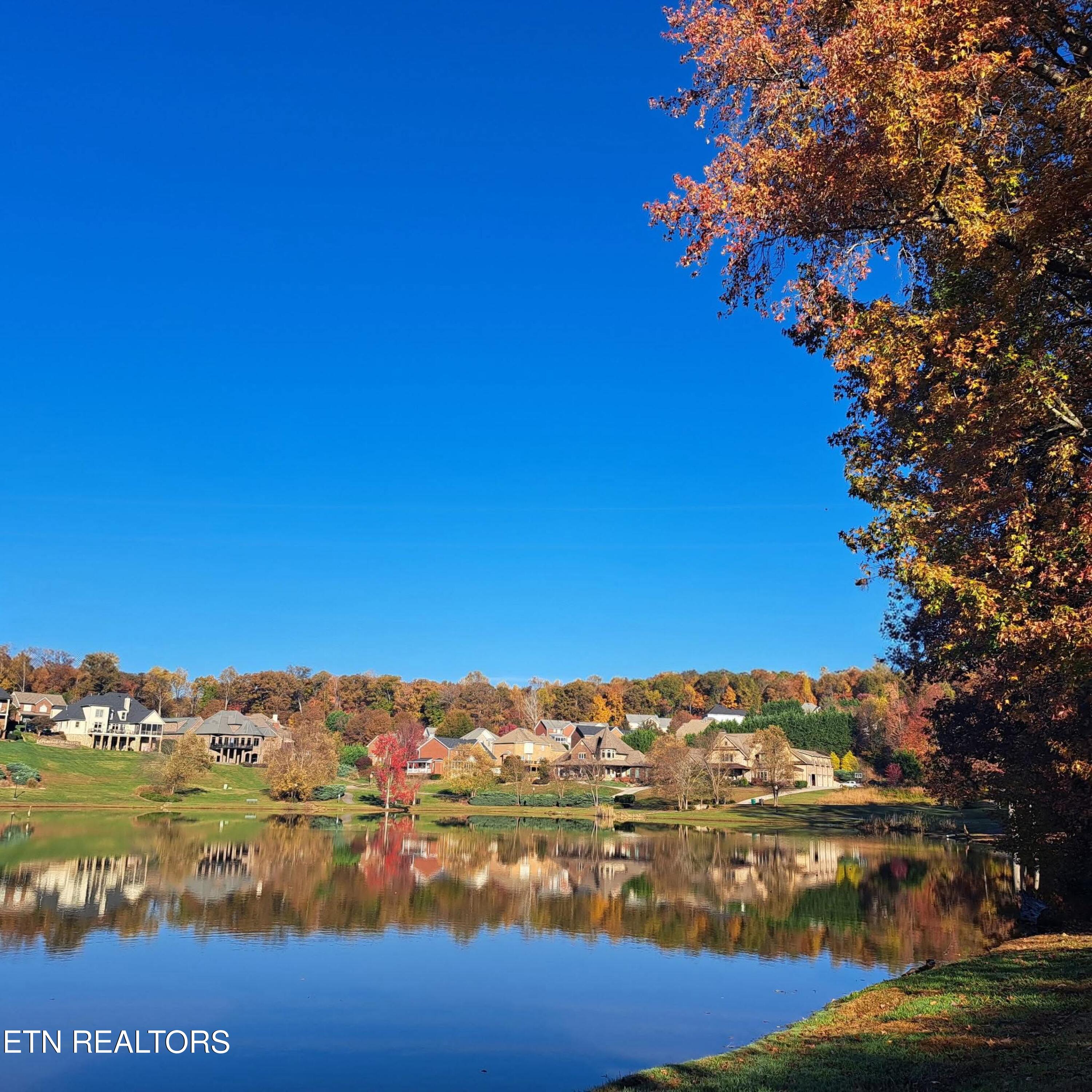 3005 Cambridge Shores Lane