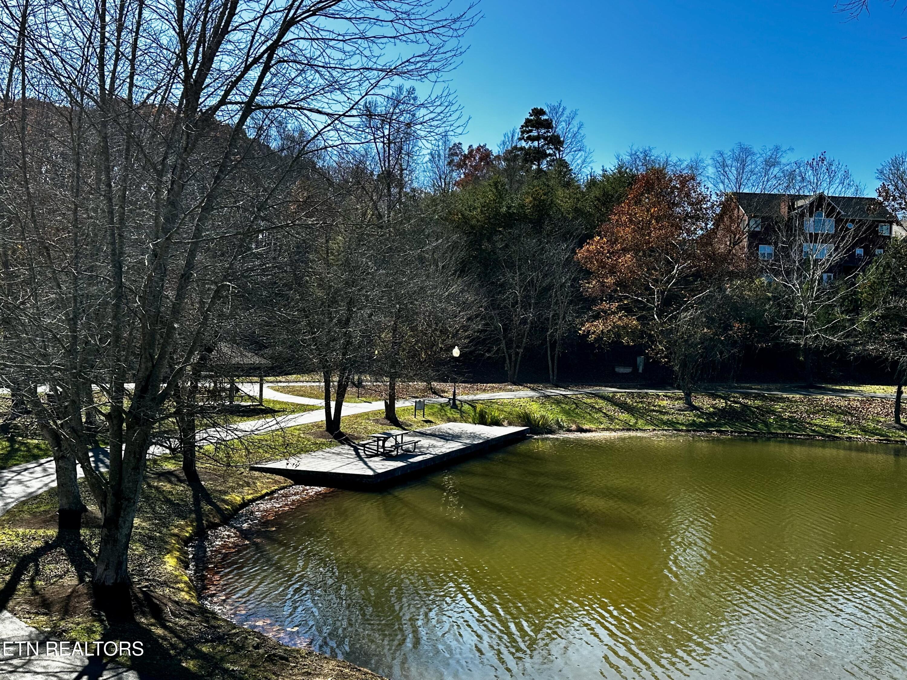 3005 Cambridge Shores Lane