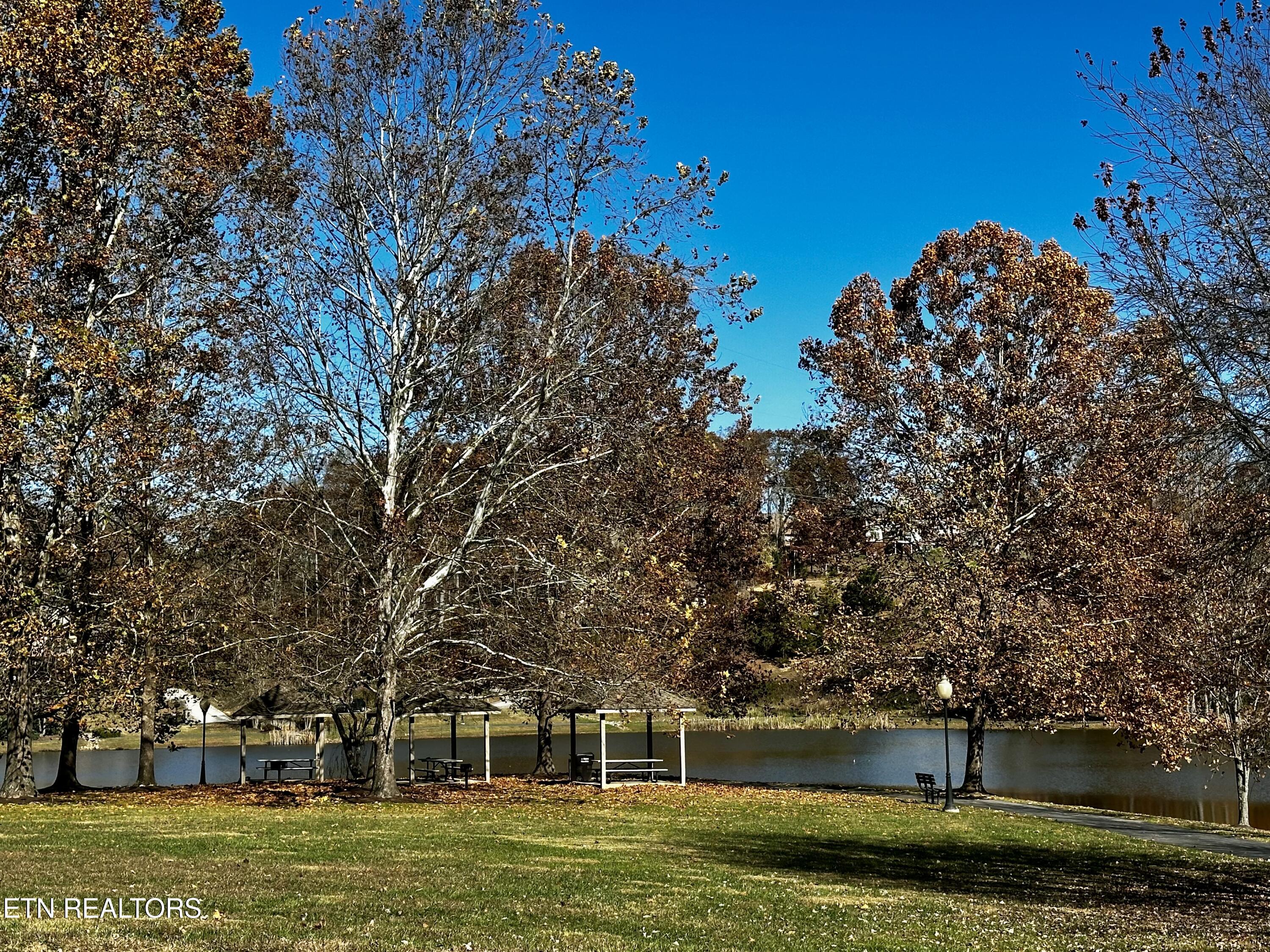 3005 Cambridge Shores Lane