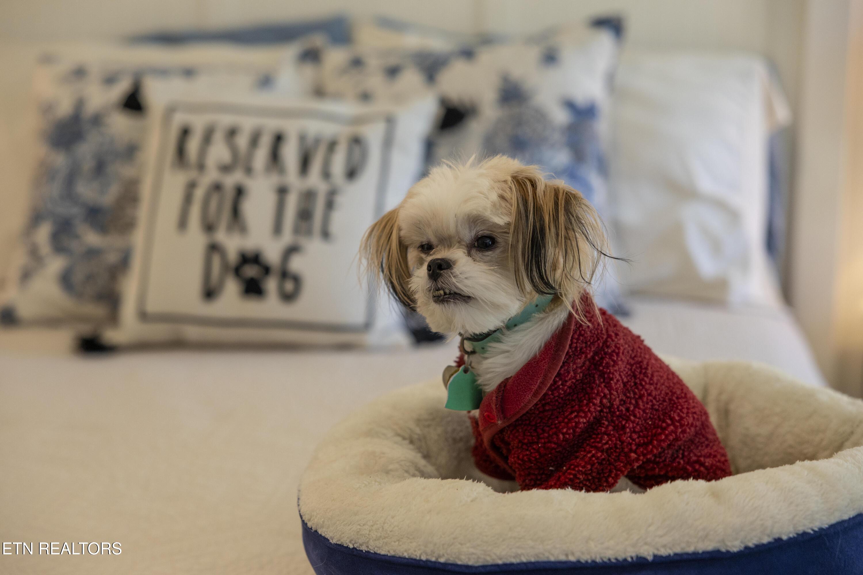 3005 Cambridge Shores Lane