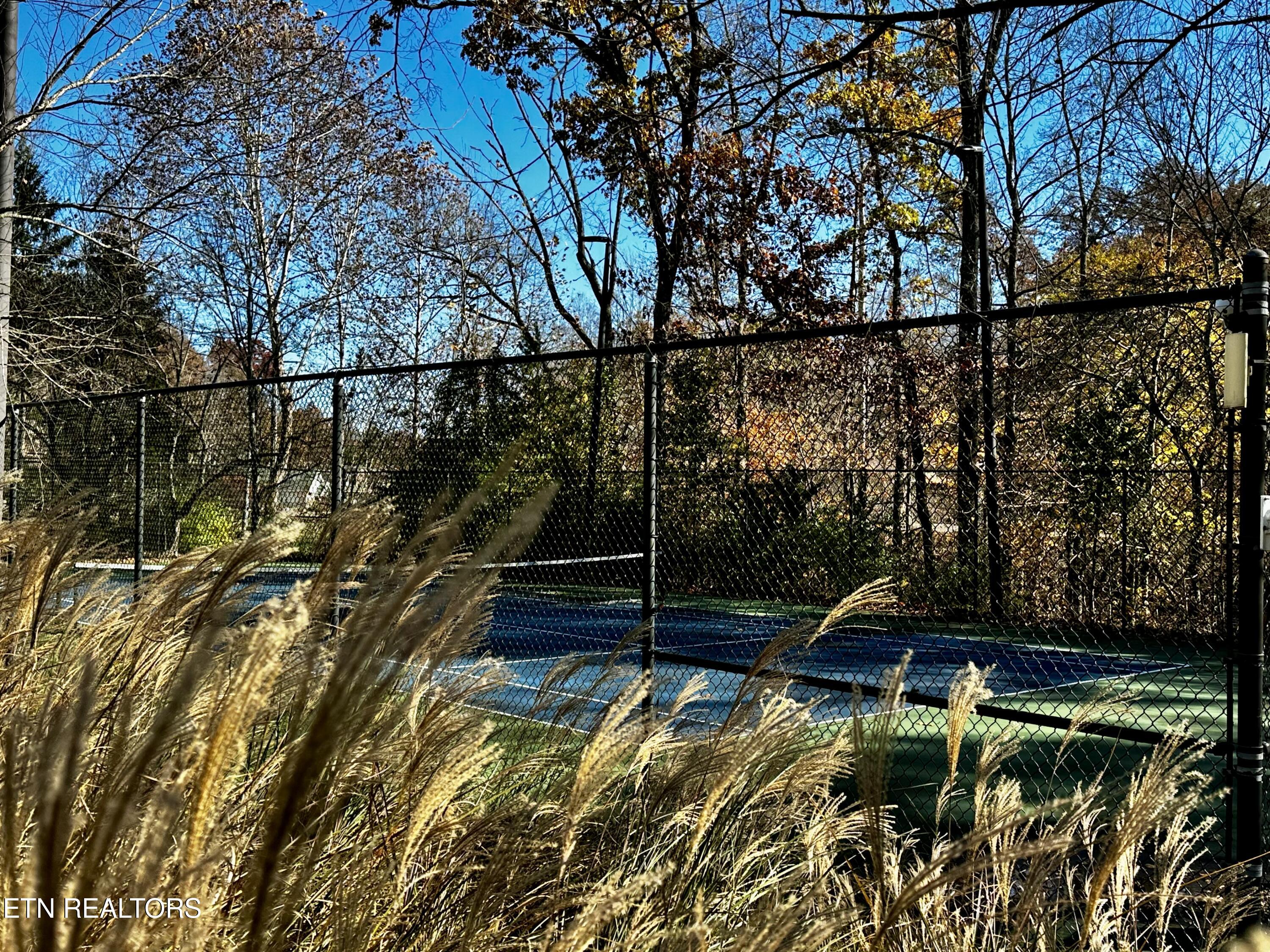 3005 Cambridge Shores Lane