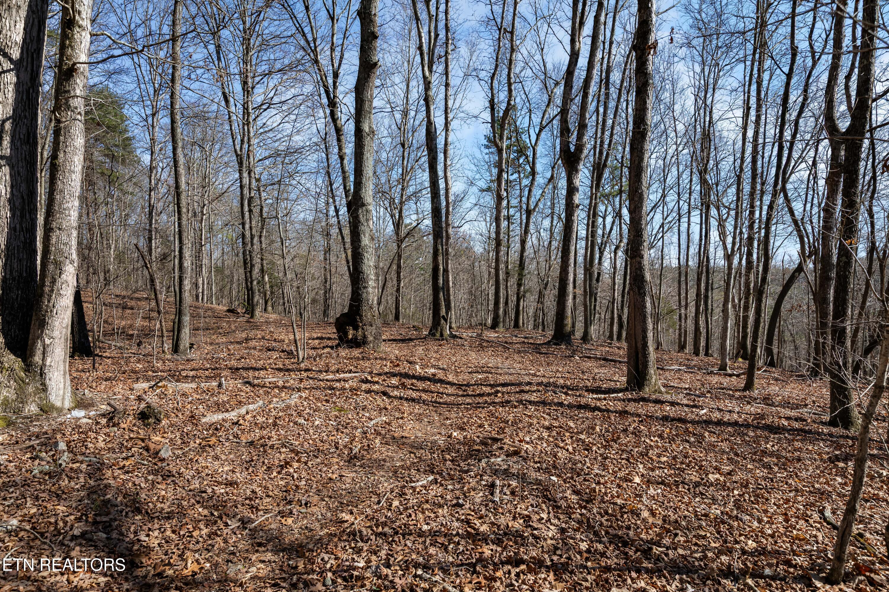 150 Clear Branch Rd N