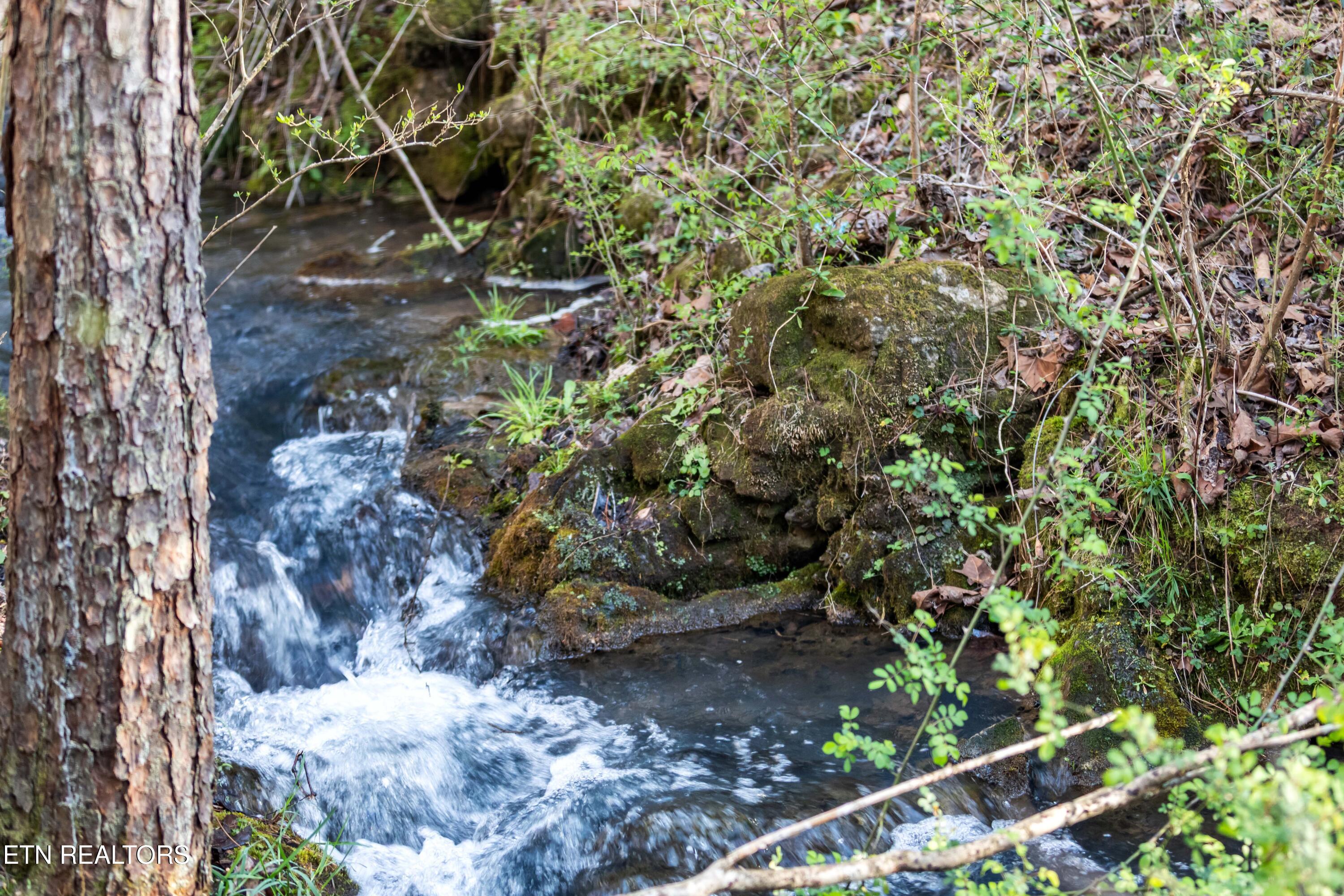 150 Clear Branch Rd N