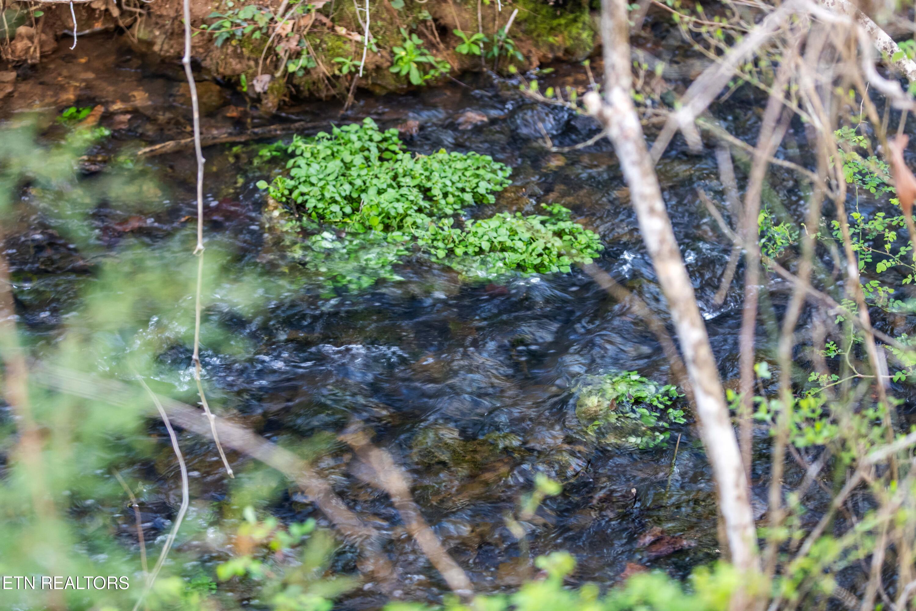 150 Clear Branch Rd N