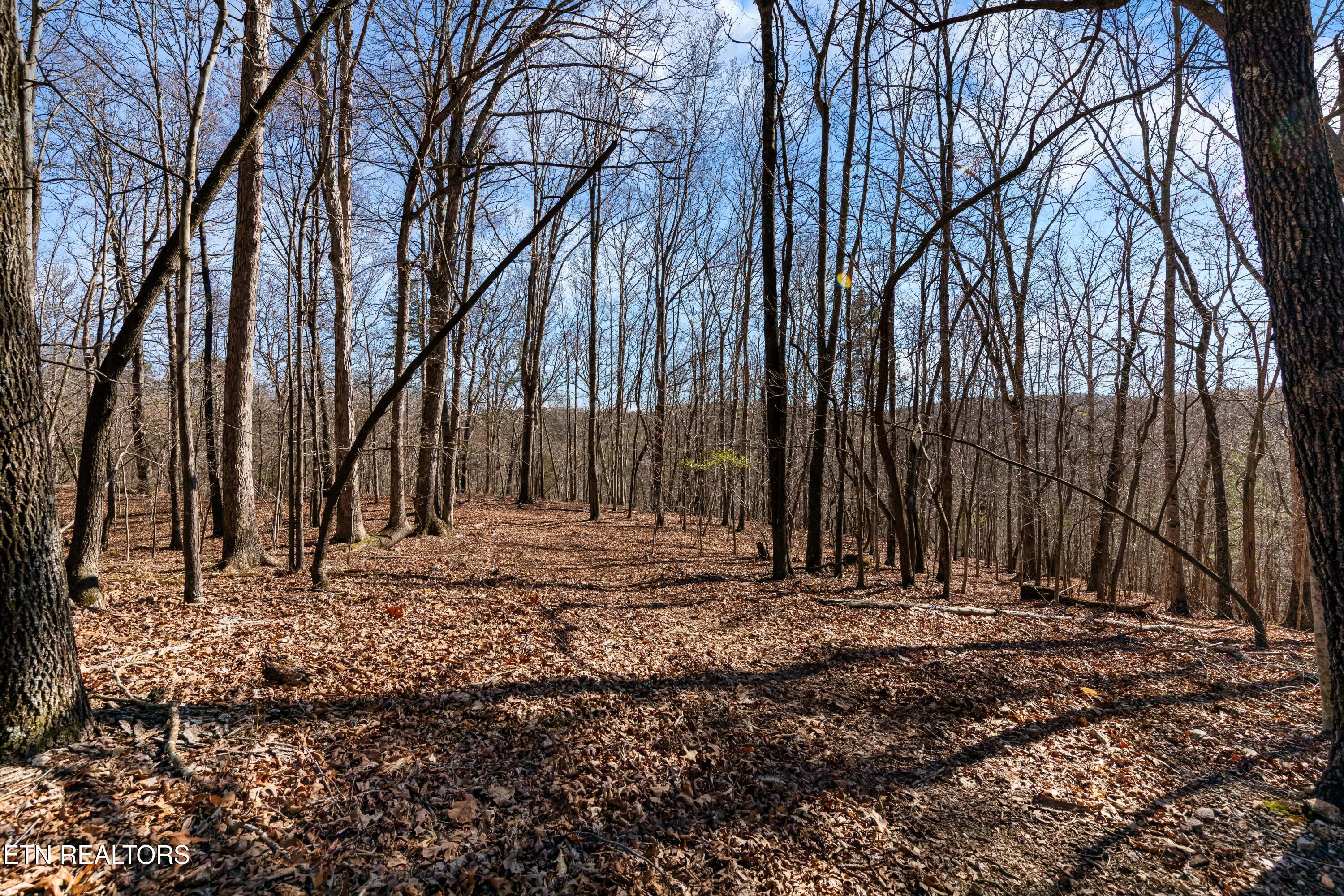 150 Clear Branch Rd N