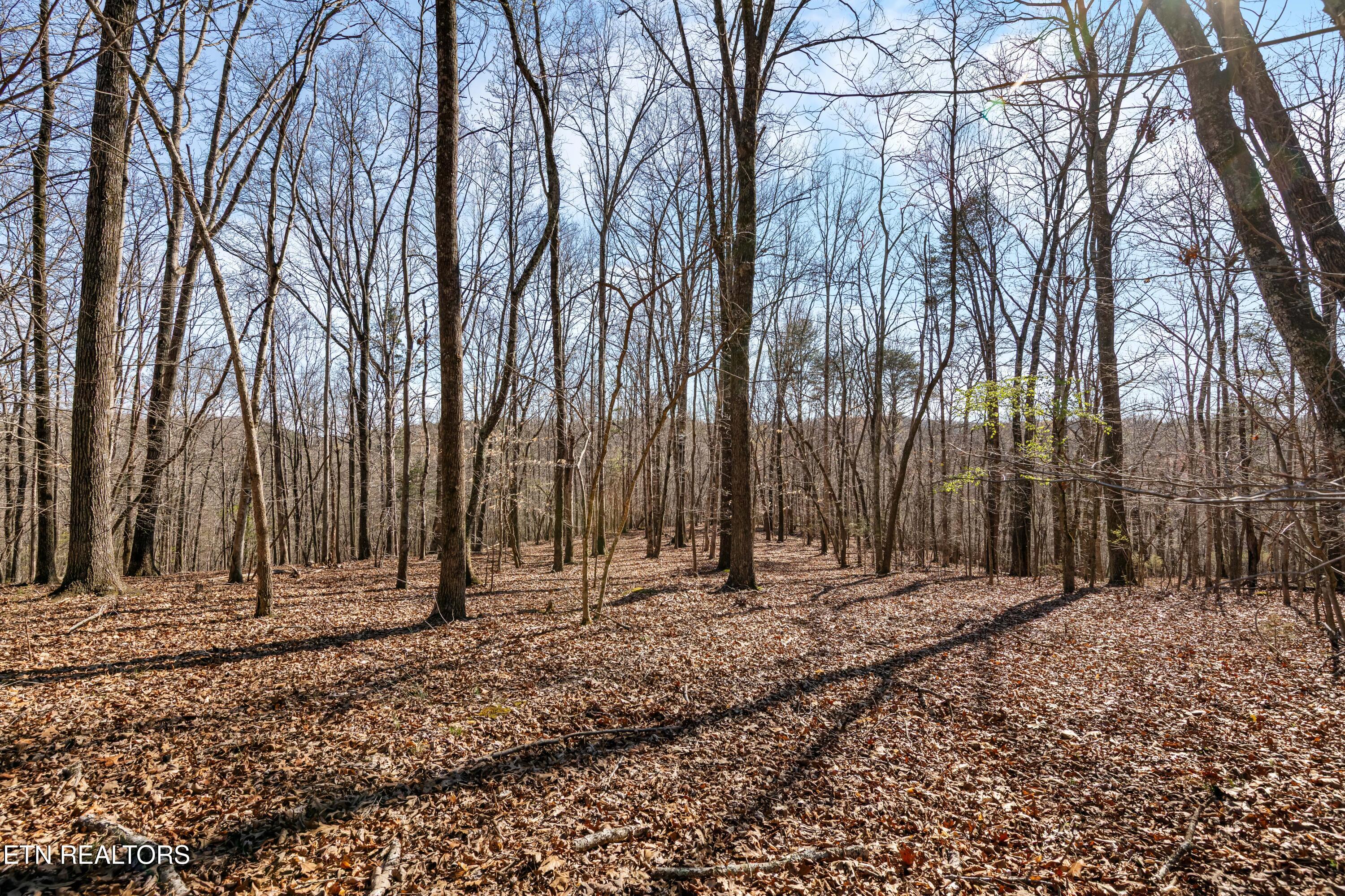 150 Clear Branch Rd N