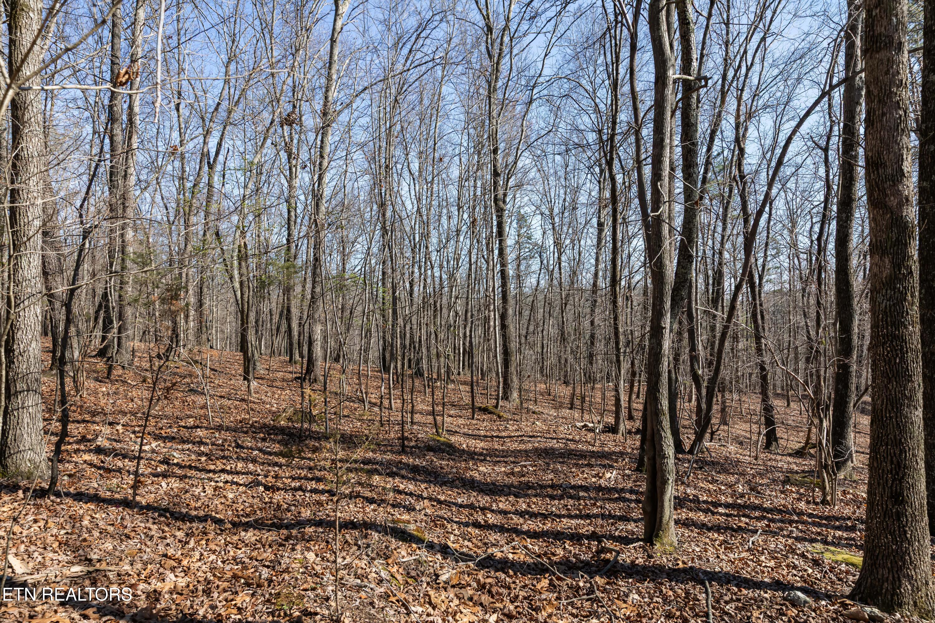 150 Clear Branch Rd N