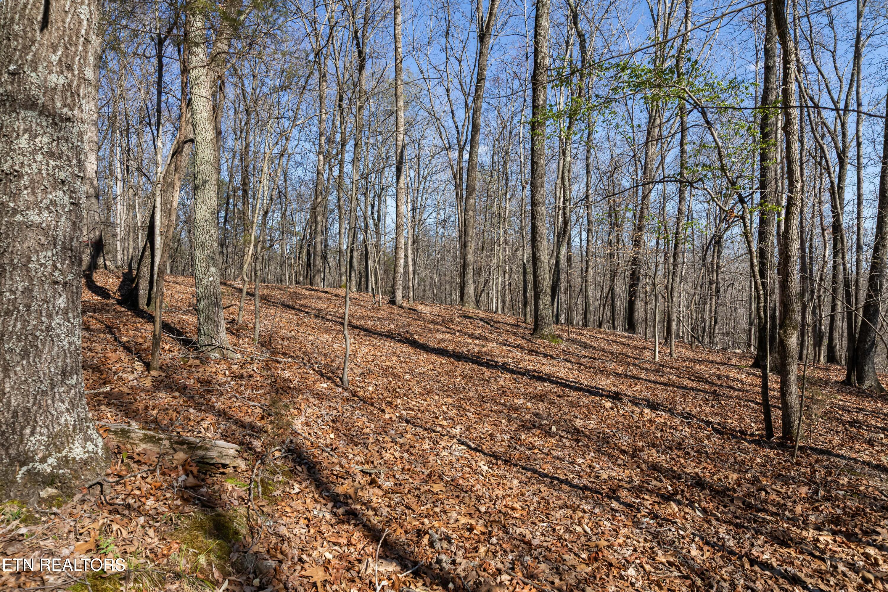 150 Clear Branch Rd N